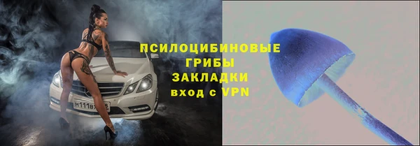 прущие грибы Балахна